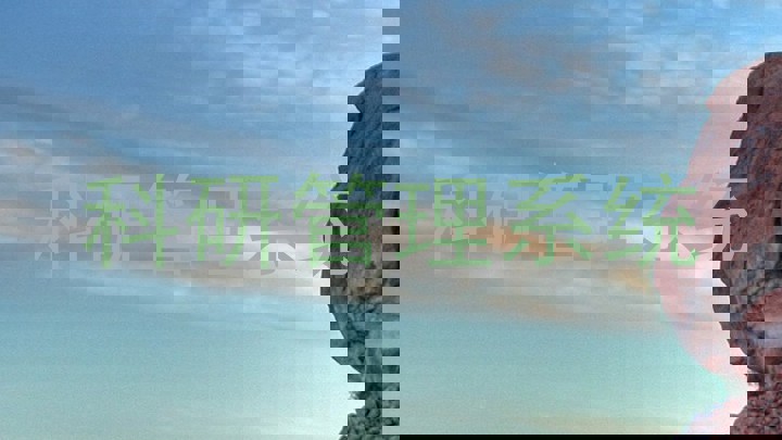 科研管理系统