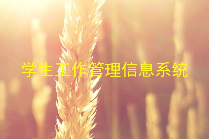 学生工作管理信息系统