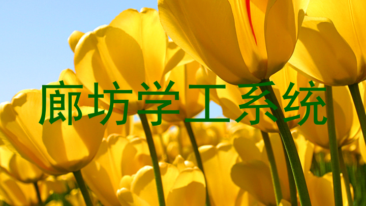 廊坊学工系统