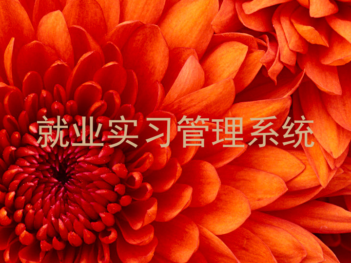就业实习管理系统