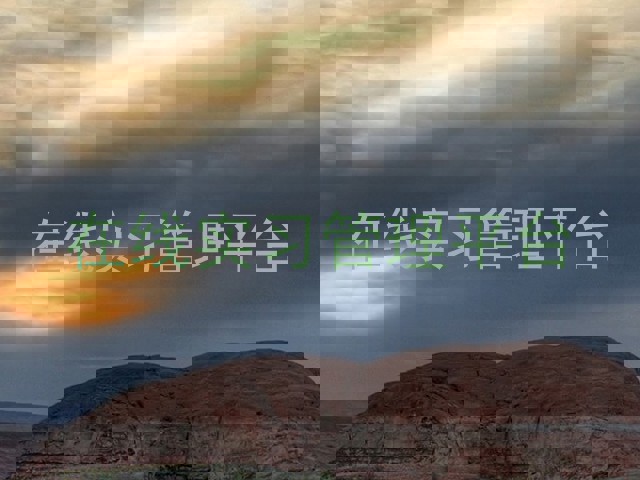 在线实习管理平台