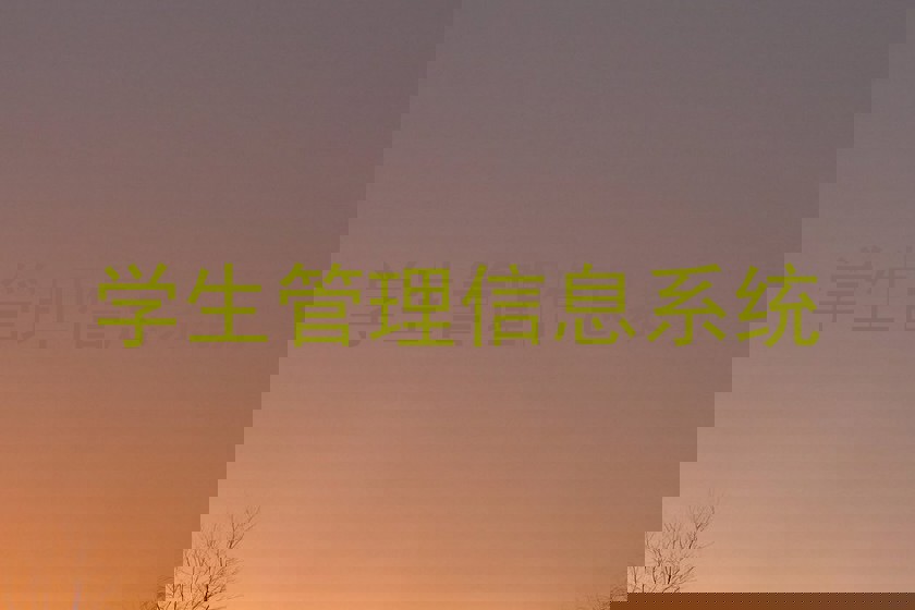 学生管理信息系统