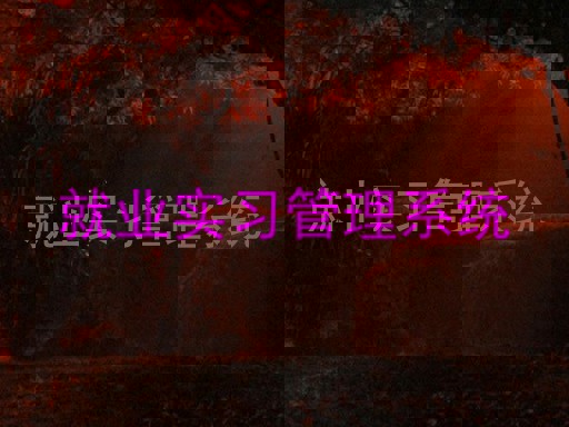就业实习管理系统