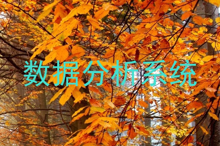数据分析系统