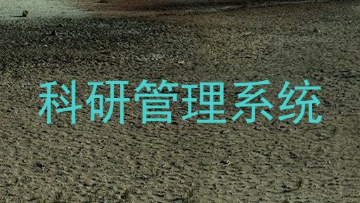 科研管理系统