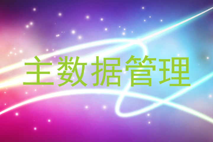 主数据管理
