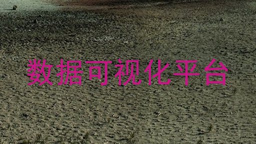 数据可视化平台