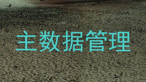 主数据管理
