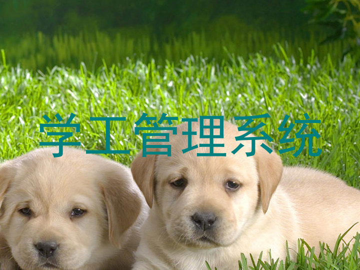 学工管理系统