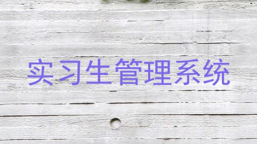 实习生管理系统