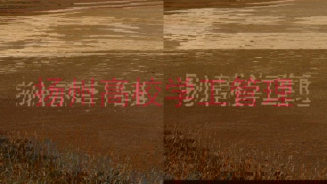 扬州高校学工管理