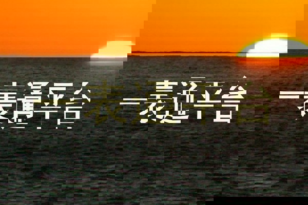 一表通平台
