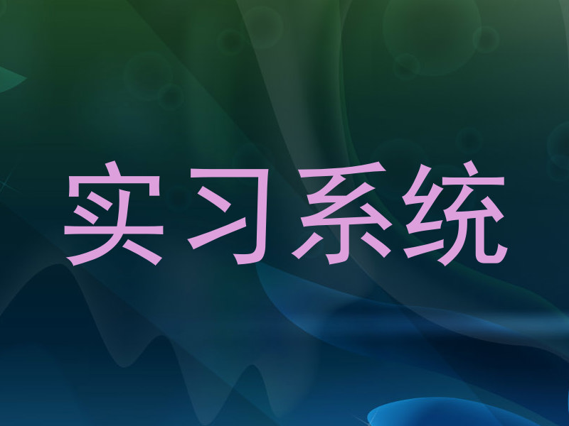实习系统