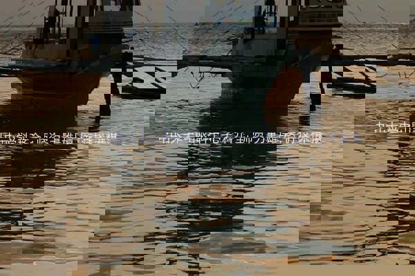 中山大学中山眼科中心学科齐全,师资力量雄厚,医疗技术精湛