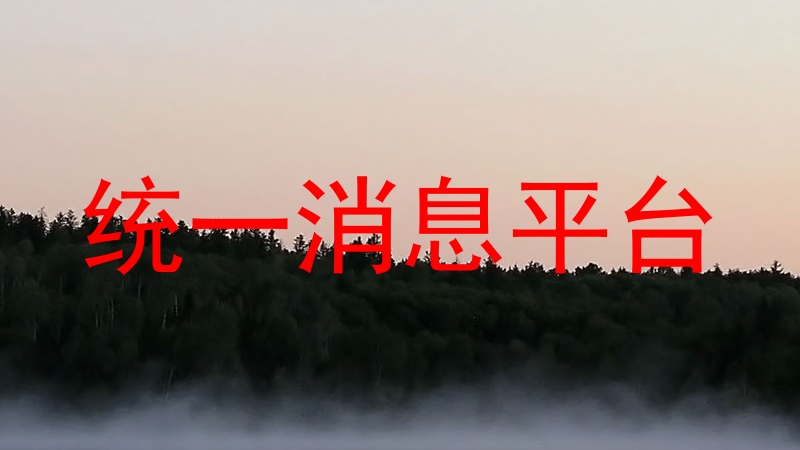 统一消息平台