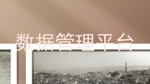 数据管理平台