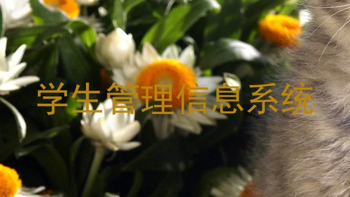 学生管理信息系统