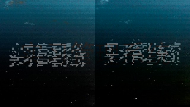 实习管理系统