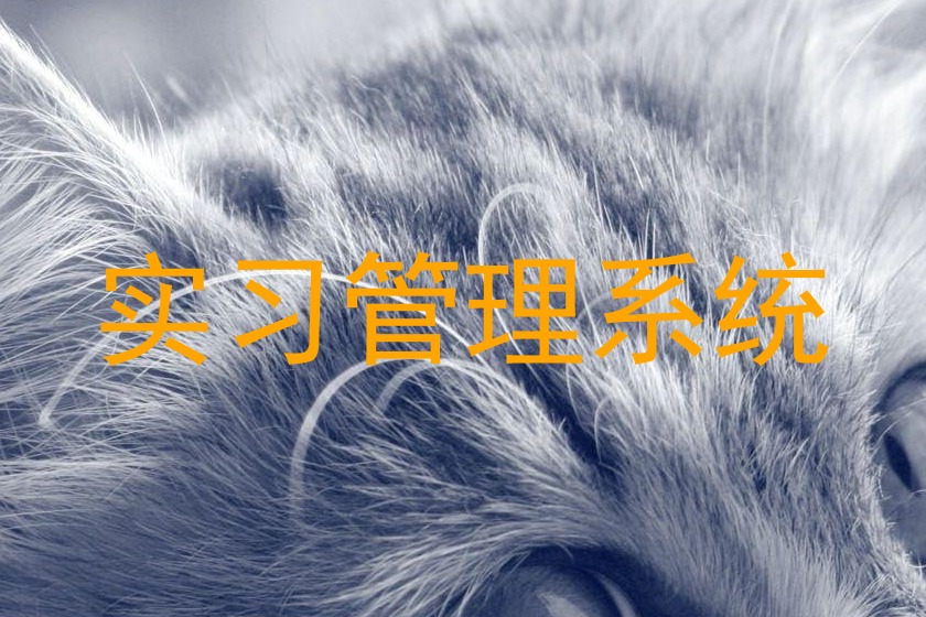 实习管理系统