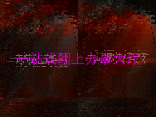 一站式网上办事大厅