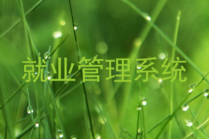 就业管理系统