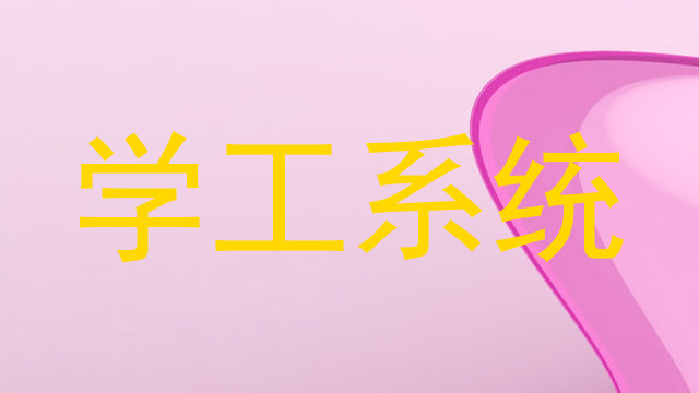 学工系统