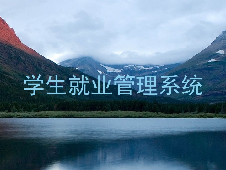 学生就业管理系统