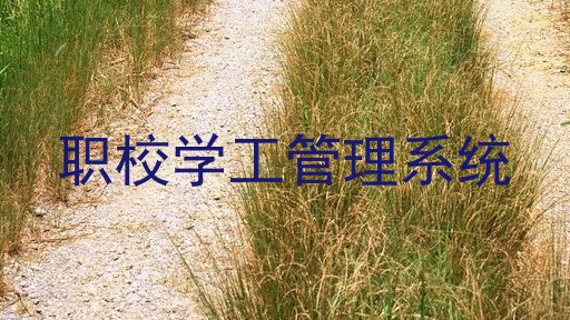 职校学工管理系统