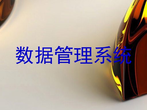 数据管理系统