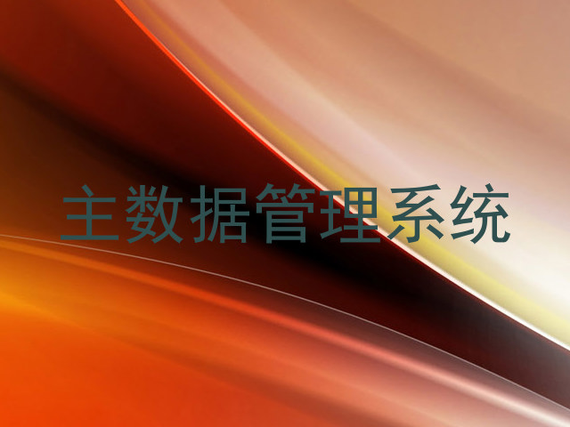 主数据管理系统