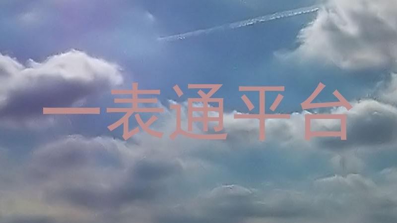 一表通平台