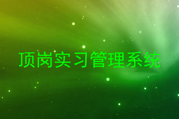 顶岗实习管理系统