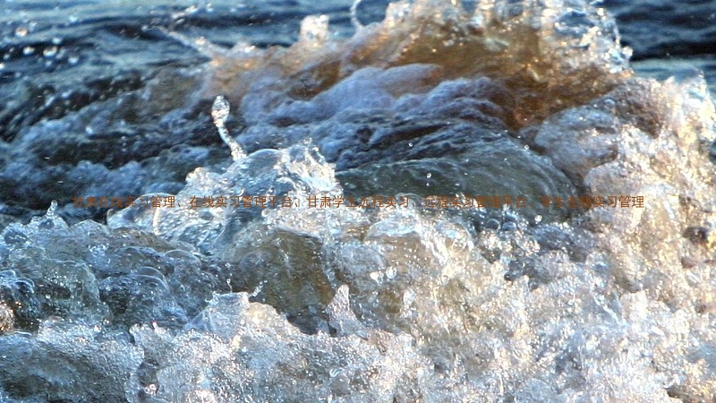 甘肃在线实习管理、在线实习管理平台、甘肃学生远程实习、远程实习管理平台、学生在线实习管理