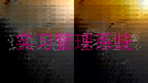 实习管理系统