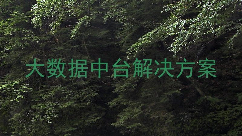 大数据中台解决方案