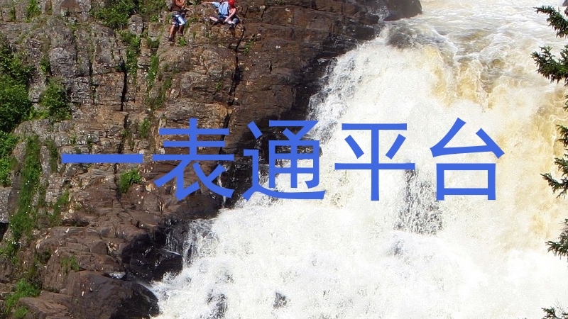 一表通平台