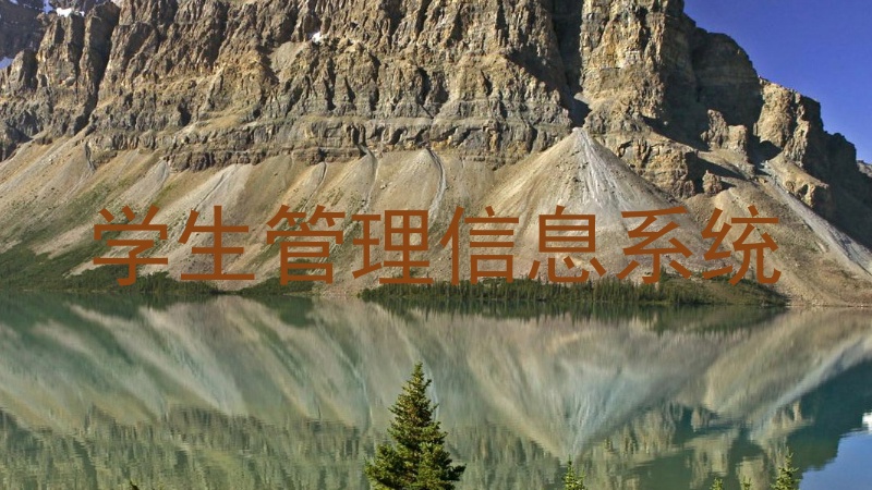 学生管理信息系统