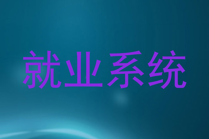 就业系统