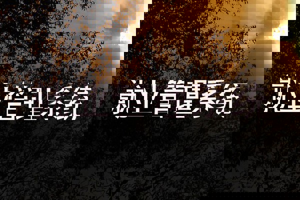 就业管理系统