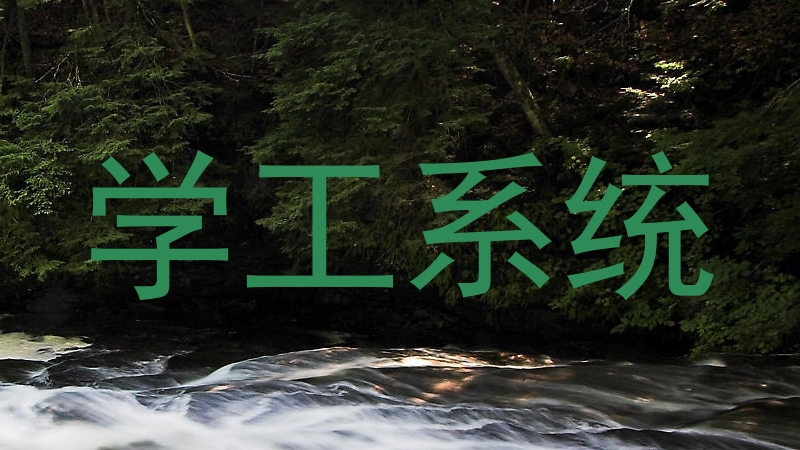 学工系统