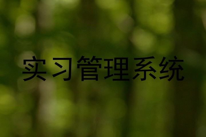 实习管理系统