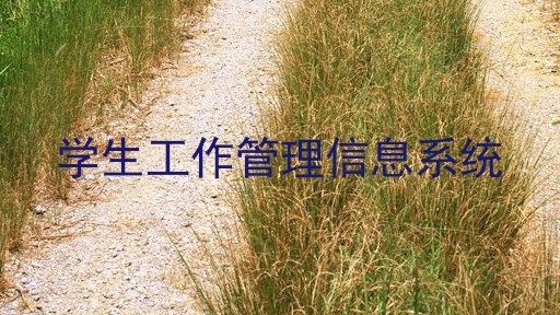 学生工作管理信息系统