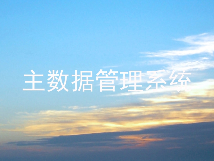 主数据管理系统