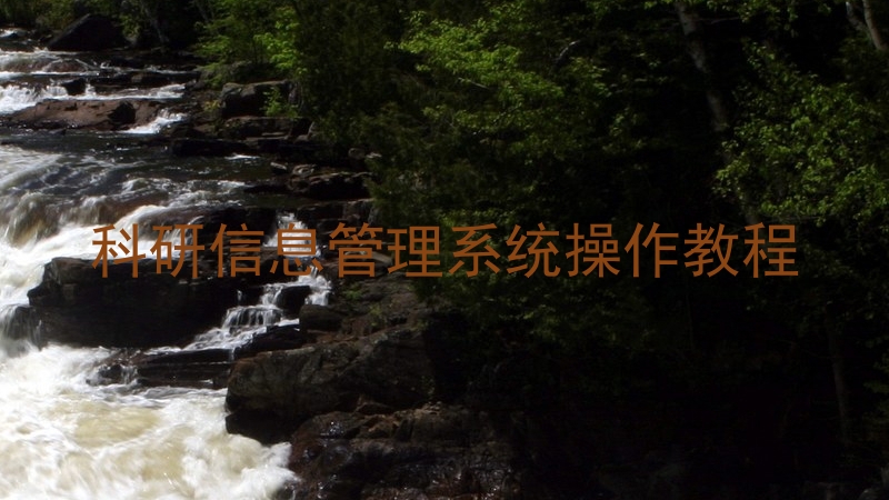 科研信息管理系统操作教程