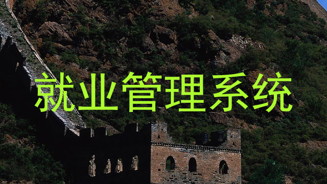 就业管理系统
