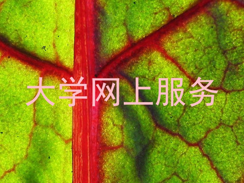 大学网上服务