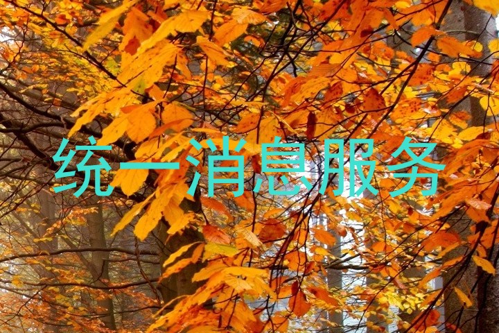 统一消息服务