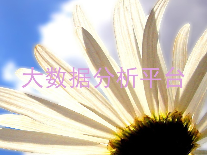 大数据分析平台