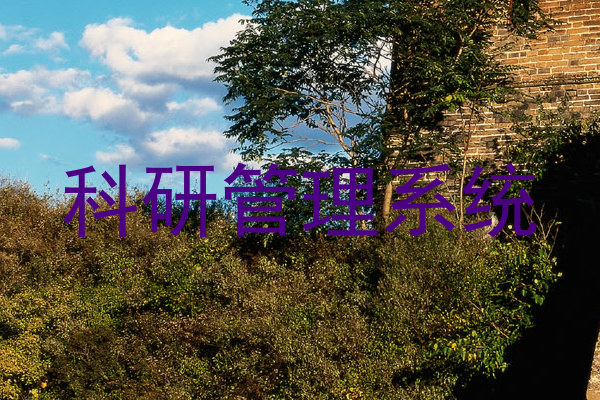 科研管理系统