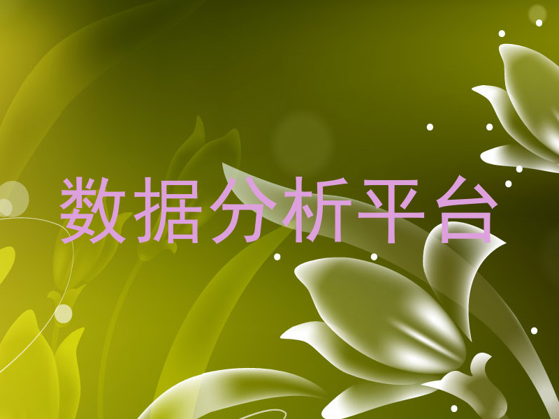 数据分析平台